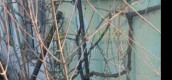 Продажа 2-к. квартиры на ул. Заря Коммунизма,  Кировский р-н, Донецка 52034